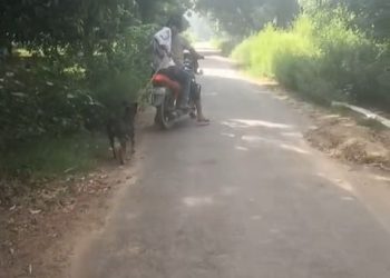 बाइक से बांधकर कुत्ते को बेरहमी से घसीटा, सोशल मीडिया पर वीडियो वायरल