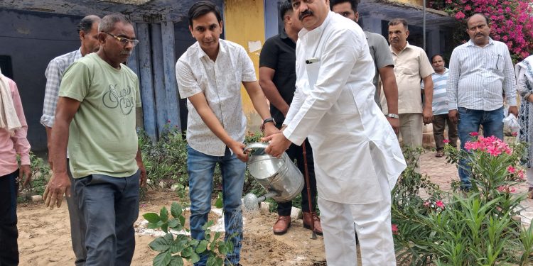 सपा के स्टार प्रचारक व पूर्वमंत्री आबिद रजा और सांसद प्रतिनिधि ने किया पौधारोपण